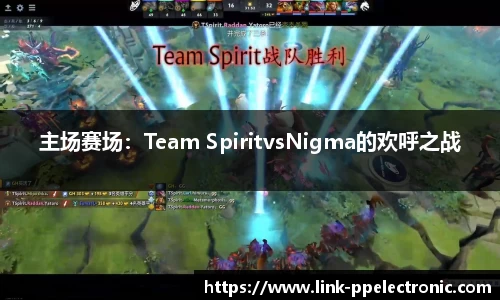 主场赛场：Team SpiritvsNigma的欢呼之战