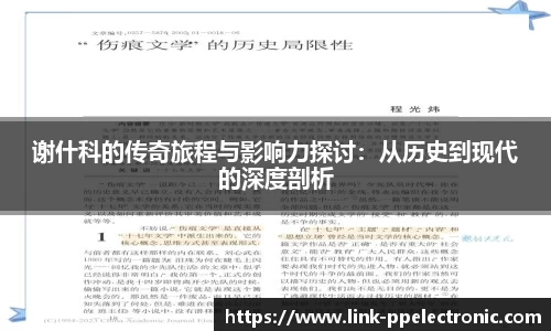 谢什科的传奇旅程与影响力探讨：从历史到现代的深度剖析