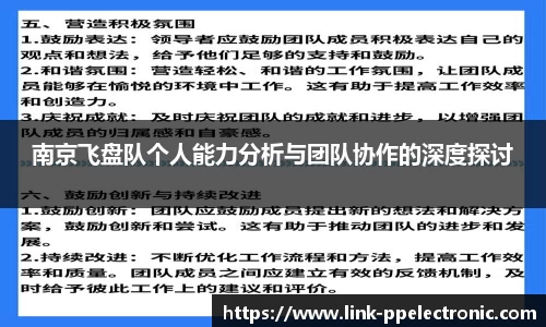 南京飞盘队个人能力分析与团队协作的深度探讨
